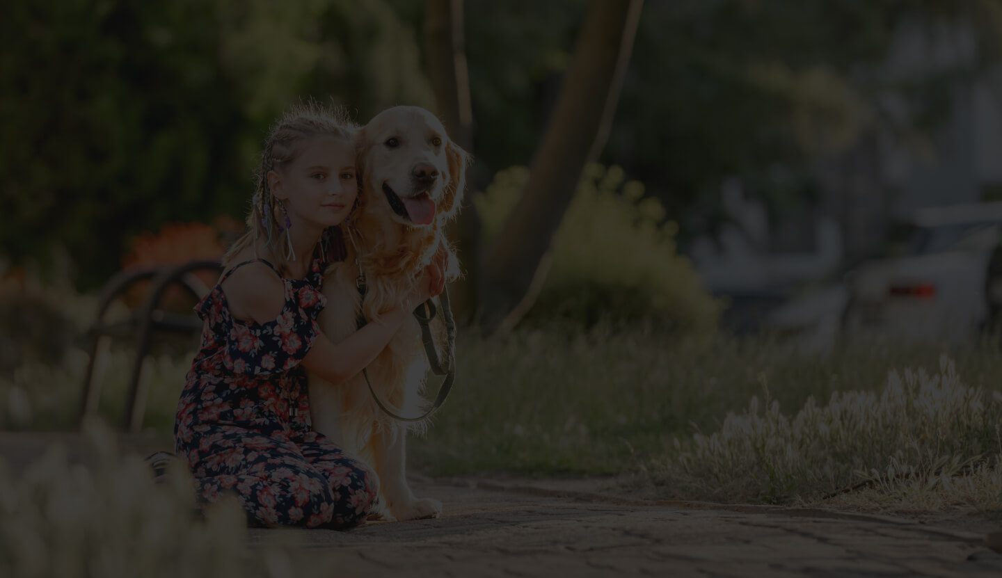 A Girl Child and a Golden Retriever Sitting Near a Tree.